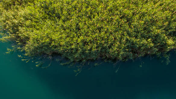 Luftaufnahme der reichen Vegetation der Bacina-Seen in der Nähe der Stadt Ploce in Dalmatien, Kroatien. - AAEF07448