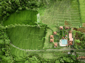 Luftaufnahme von Häusern an Reisfeldern in Licin, Banyuwangi Regency, Ost-Java, Indonesien. - AAEF07521