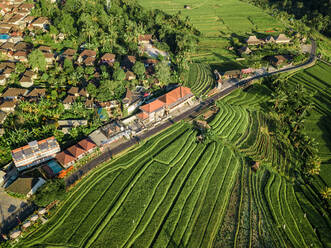 Luftaufnahme von Reisfeldern in der Nähe des Dorfes Penebel, Bali, Indonesien. - AAEF07524