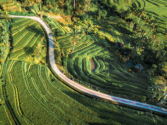 Luftaufnahme einer Straße durch Reisfelder in Penebel bei Sonnenuntergang, Bali, Indonesien. - AAEF07529