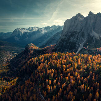 Luftaufnahme von Cortina d'Ampezzo, Dolomiten, Italien, mit Bergen im Hintergrund und Herbstbäumen. - AAEF07645