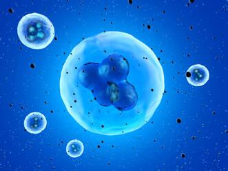 Three dimensional render of stem cells - SPCF00588