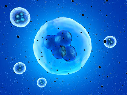 Dreidimensionale Darstellung von Stammzellen - SPCF00588