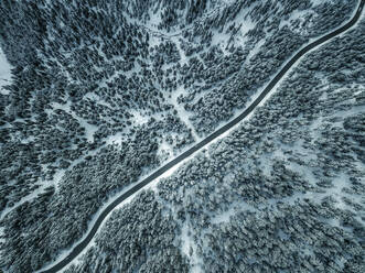 Aerial view of white trees and diagonal street in Courchevel, France. - AAEF07743