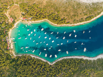 Luftaufnahme von vielen Luxusbooten, die in der Bucht von Palmizana, Insel Hvar, Kroatien, vor Anker liegen. - AAEF07925