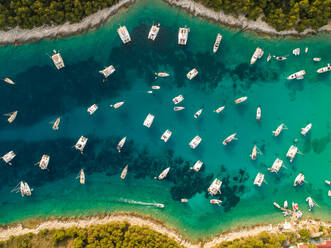 Luftaufnahme von vielen Luxusbooten, die in der Bucht von Palmizana, Insel Hvar, Kroatien, vor Anker liegen. - AAEF07927