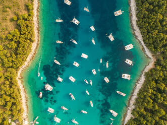 Luftaufnahme von vielen Luxusbooten, die in der Bucht von Palmizana, Insel Hvar, Kroatien, vor Anker liegen. - AAEF07928