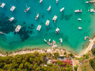 Luftaufnahme von vielen Luxusbooten, die in der Bucht von Palmizana, Insel Hvar, Kroatien, vor Anker liegen. - AAEF07931