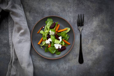 Plate of corn salad with roasted carrot strips, beetroot, Spanish onions and goat cream cheese - LVF08733