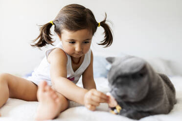 Kleines Mädchen sitzt auf dem Bett und spielt mit einer Katze - VABF02702
