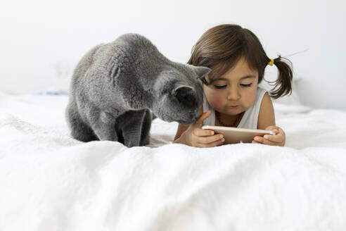 Porträt eines kleinen Mädchens, das mit einem grauen Britisch-Kurzhaar auf dem Bett liegt und auf ein Smartphone schaut - VABF02713