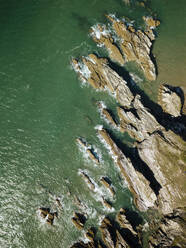 Luftaufnahme der Whitsand Bay, Cornwall, mit schmalen Felsen, die ins Meer ragen, und einer felsigen Küstenlinie. - CUF54933