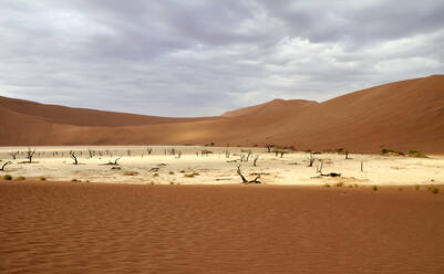 Namibia, Sossusvlei-Pfanne, umgeben von Wüstendünen - VEGF01831