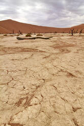 Namibia, Trockener Boden in der Deadvlei-Tonpfanne - VEGF01833