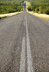 Namibia, Tarmac road cutting through savannah - VEGF01839