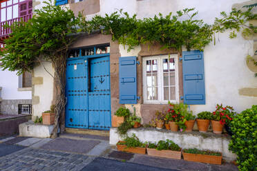 France, Pyrenees-Atlantiques, Ainhoa, Potted plants in front of entrance doors of old town house - LBF02981