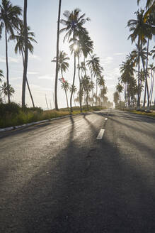 Ghana, Sonnenschein über Palmen entlang einer leeren Asphaltstraße - VEGF01848