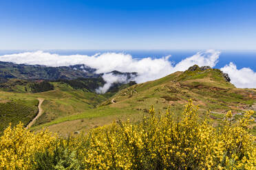 Portugal, Madeira, Ausblick vom Aussichtspunkt Lombo do Mauro - WDF05902