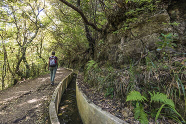 Portugal, Madeira, Ribeiro Frio, Rucksacktouristin beim Wandern entlang der Levada do Furado im Naturpark Madeira - WDF05918