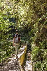 Portugal, Madeira, Ribeiro Frio, Rucksacktouristin beim Wandern entlang der Levada do Furado im Naturpark Madeira - WDF05919