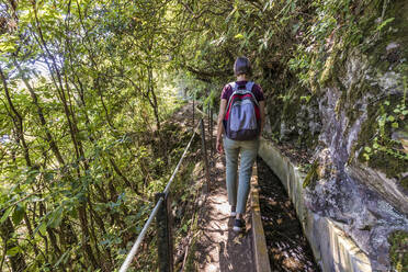 Portugal, Madeira, Ribeiro Frio, Female backpacker hiking along Levada do Furado in Madeira Natural Park - WDF05920