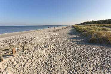 Deutschland, Mecklenburg-Vorpommern, Prerow, Sandstrand an der Ostseeküste - ZCF00930