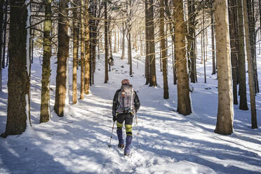 Rückenansicht eines Mannes beim Wandern im verschneiten Wald, Orobie Alpen, Lecco, Italien - MCVF00265