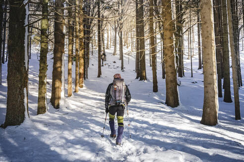 Rückenansicht eines Mannes beim Wandern im verschneiten Wald, Orobie Alpen, Lecco, Italien - MCVF00265