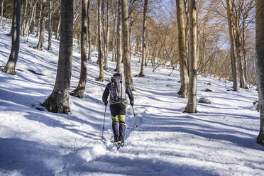 Rückenansicht eines Mannes beim Wandern im verschneiten Wald, Orobie Alpen, Lecco, Italien - MCVF00266