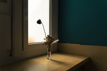 Withered flowers in a vase at the window - AFVF05942