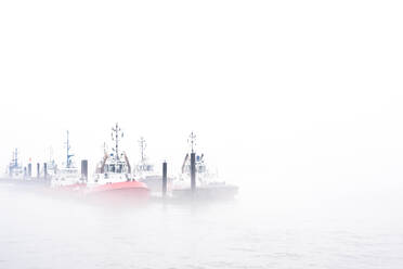 Boats Moored At Harbor Against Clear Sky - EYF02477