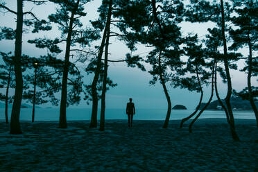 Silhouette Mann stehend von Bäumen am Strand - EYF02487