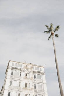 Weißes Haus und Palme gegen bewölkten Himmel, Venice Beach, Los Angeles, USA - LHPF01210