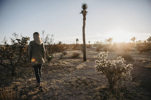 Rückenansicht einer Frau, die bei Sonnenuntergang durch die Wüste läuft, Joshua Tree, USA - LHPF01226
