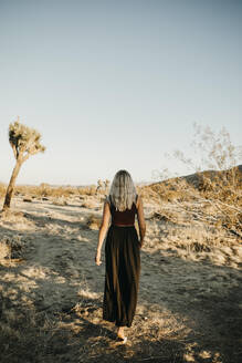 Rückenansicht einer blonden Frau beim Spaziergang in der Wüste, Joshua Tree, USA - LHPF01229
