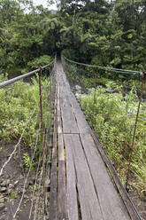 Costa Rica, Puntarenas, Monteverde, Einfache Hängebrücke im Gebiet des Vulkans Arenal - VEGF01853