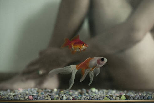 Close-Up Of Fish Swimming In Tank With Naked Man Sitting In Background - EYF02900