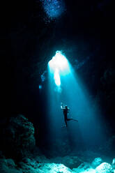 Person Swimming In Sea - EYF02938