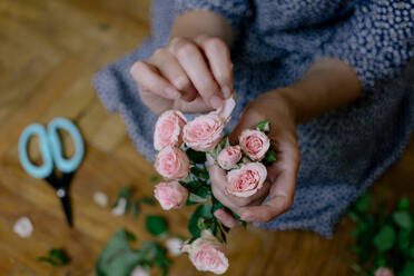 Midsection der Frau zupft Blütenblätter von Rose zu Hause - EYF03077