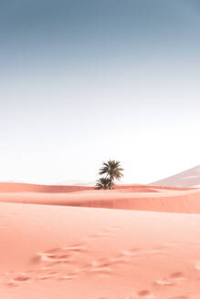 Scenic Ansicht der Wüste gegen klaren Himmel - EYF03239