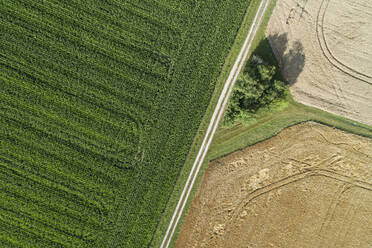 Deutschland, Bayern, Drohnenansicht einer unbefestigten Straße, die sich im Sommer durch Felder schlängelt - RUEF02711