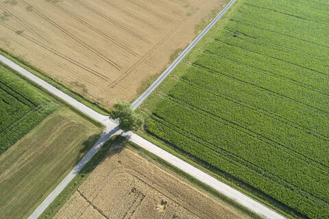 Deutschland, Bayern, Drone Ansicht der Straße Kreuzung zwischen Landschaft Felder im Sommer, lizenzfreies Stockfoto