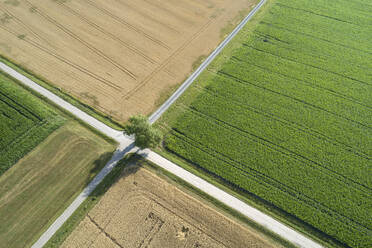 Germany, Bavaria, Drone view of road intersection between countryside fields in summer - RUEF02712