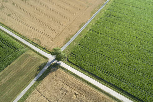 Deutschland, Bayern, Drone Ansicht der Straße Kreuzung zwischen Landschaft Felder im Sommer - RUEF02712