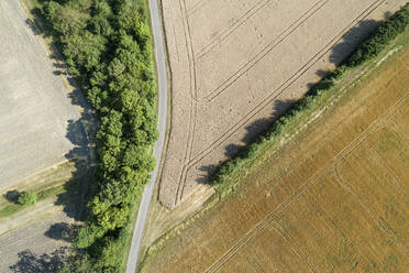 Deutschland, Bayern, Drone Ansicht der Landstraße Schneiden durch gelbe Landschaft Felder im Sommer - RUEF02715