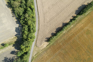 Germany, Bavaria, Drone view of country road cutting through yellow countryside fields in summer - RUEF02715