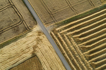 Germany, Bavaria, Drone view of country road cutting through yellow countryside fields in summer - RUEF02719