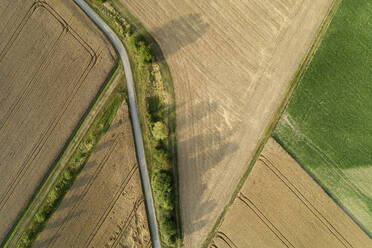 Germany, Bavaria, Drone view of country road cutting through yellow countryside fields in summer - RUEF02720