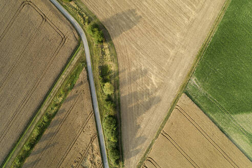 Deutschland, Bayern, Drone Ansicht der Landstraße Schneiden durch gelbe Landschaft Felder im Sommer - RUEF02720