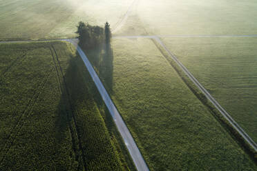 Germany, Bavaria, Drone view of green countryside fields at foggy dawn - RUEF02722